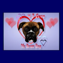 I Love My Boxer Dog Poster posters