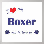 I Love My Boxer (Male Dog) Posters