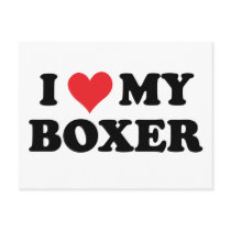 I Love My Boxer Post Card