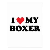 I Love My Boxer Postcard