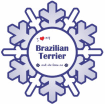 I Love My Brazilian Terrier (She) Ornament photo sculptures
