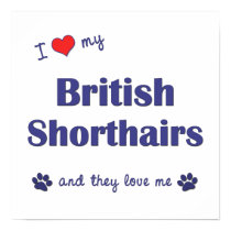 I Love My British Shorthairs (Multiple Cats) posters by customcatgifts I Love My British Shorthairs (Multiple Cats) posters