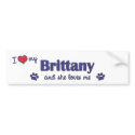 I Love My Brittany (Female Dog) bumper stickers by thatsalottadogs I Love My Brittany (Female Dog) bumper stickers