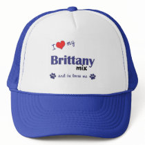 I Love My Brittany Mix (Male Dog) hats