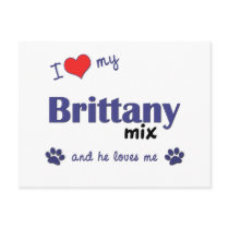 I Love My Brittany Mix (Male Dog) postcards