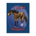 I Love My Bucksin Horse Postcard