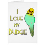 I Love My Budgie Cards