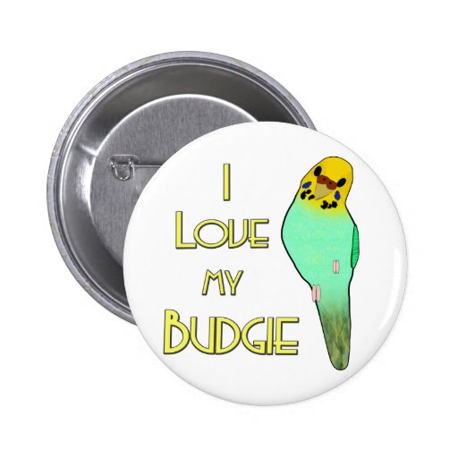 I Love My Budgie Pins
