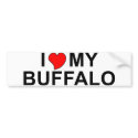 I Love My Buffalo bumper stickers