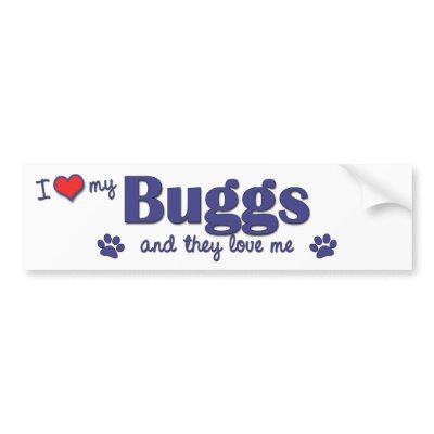 buggs dogs