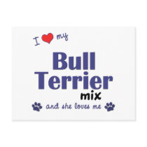 I Love My Bull Terrier Mix (Female Dog) postcards