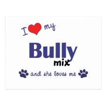 I Love My Bully Mix (Female Dog) Post Cards