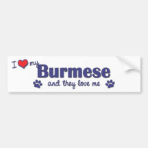 I Love My Burmese (Multiple Cats) Bumper Sticker