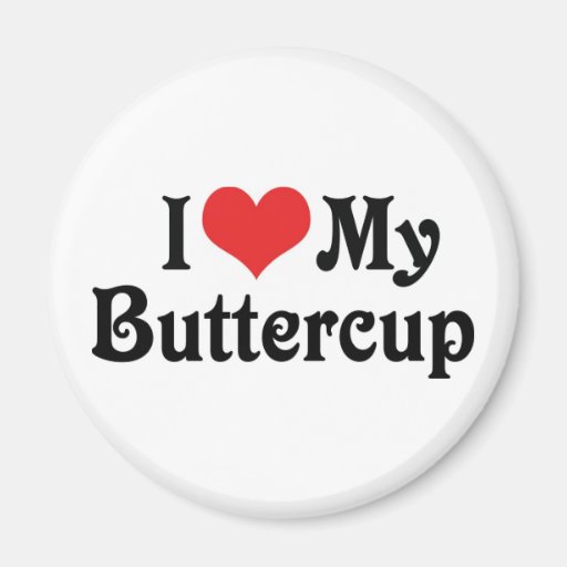 I Love My Buttercup 2 Inch Round Zazzle