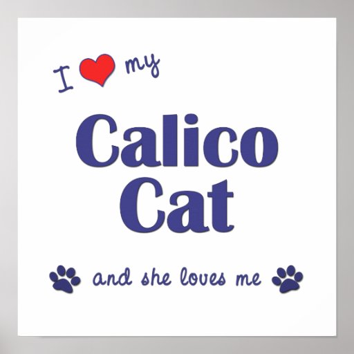 I Love My Calico Cat (Female Cat) Print