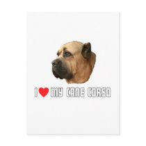 I Love My Cane Corso Post Cards