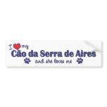I Love My Cao da Serra de Aires (Female Dog) Bumper Stickers