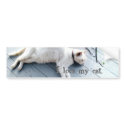 I love my cat. bumper stickers