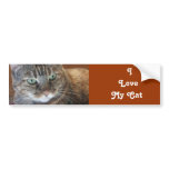 I   Love   My Cat bumper stickers