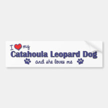 I Love My Catahoula Leopard Dog (Female Dog) Bumper Stickers