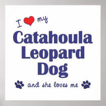 I Love My Catahoula Leopard Dog (Female Dog) Poster