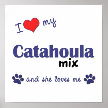 I Love My Catahoula Mix (Female Dog) Poster Print