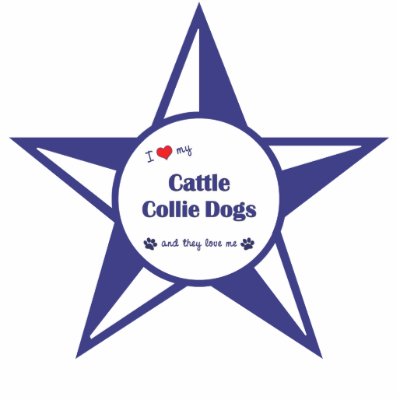 Cattle Collie