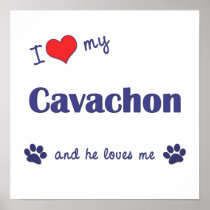 I Love My Cavachon (Male Dog) Poster Print