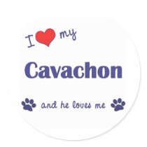 I Love My Cavachon (Male Dog) Round Stickers