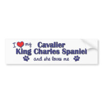 I Love My Cavalier King Charles (Female Dog) bumper stickers