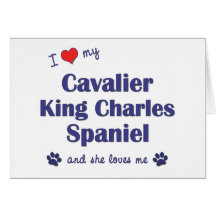 I Love My Cavalier King Charles (Female Dogs) Greeting Cards