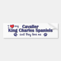 I Love My Cavalier King Charles (Multiple Dogs) Bumper Stickers