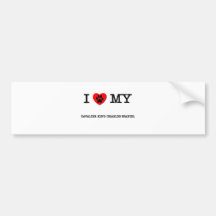 I LOVE MY CAVALIER KING CHARLES SPANIEL BUMPER STICKERS