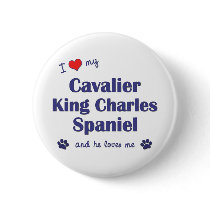 I Love My Cavalier King Charles Spaniel (Male Dog) Pinback Button