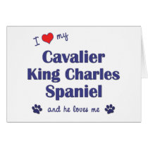 I Love My Cavalier King Charles Spaniel (Male Dog) Card