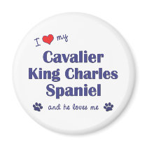 I Love My Cavalier King Charles Spaniel (Male Dog) Refrigerator Magnet