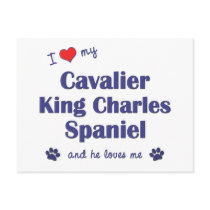 I Love My Cavalier King Charles Spaniel (Male Dog) Post Cards