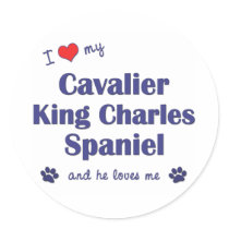 I Love My Cavalier King Charles Spaniel (Male Dog) Round Sticker