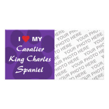 I Love My Cavalier King Charles Spaniel Custom Photo Card