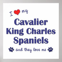 I Love My Cavalier King Charles Spaniels (Multi) Poster