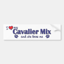 I Love My Cavalier Mix (Female Dog) Bumper Sticker