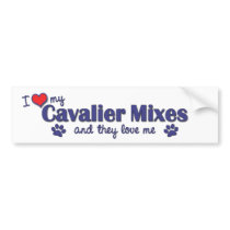 I Love My Cavalier Mixes (Multiple Dogs) bumper stickers