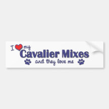 I Love My Cavalier Mixes (Multiple Dogs) Bumper Stickers