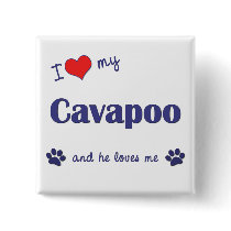 I Love My Cavapoo (Male Dog) buttons