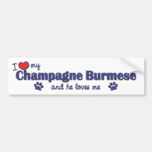 I Love My Champagne Burmese (Male Cat) Bumper Stickers
