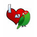 Ladies Long Sleeve