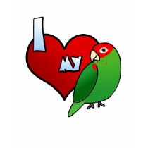 I Love my Cherry Headed Conure t-shirts