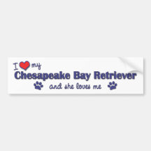 I Love My Chesapeake Bay Retriever (Female Dog) Bumper Stickers