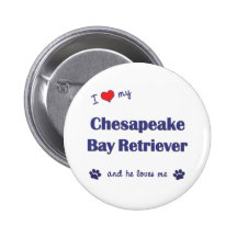 I Love My Chesapeake Bay Retriever (Male Dog) Pins