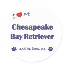 I Love My Chesapeake Bay Retriever (Male Dog) stickers by thatsalottadogs I Love My Chesapeake Bay Retriever (Male Dog) stickers